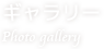 ギャラリー