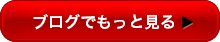 ブログでもっと見る